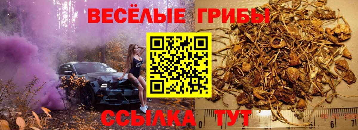 Псилоцибиновые грибы прущие грибы  Псилоцибиновые грибы Magic Shrooms  Назрань  Вход с VPN 